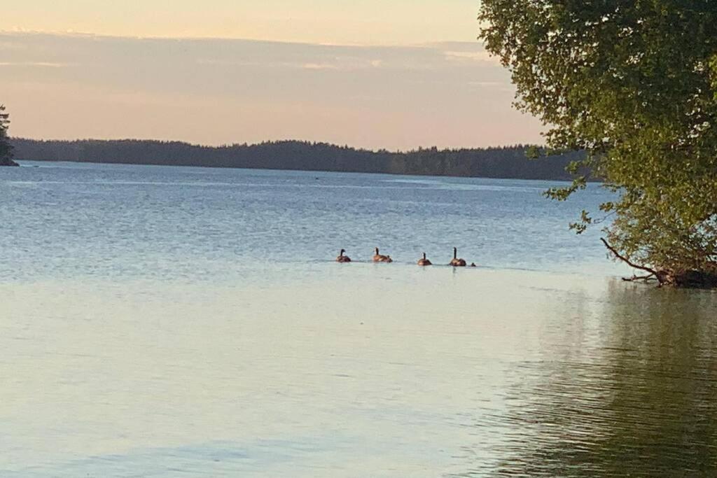 Elegant Villa On The Shore Of Lake Saimaa ラッペーンランタ エクステリア 写真