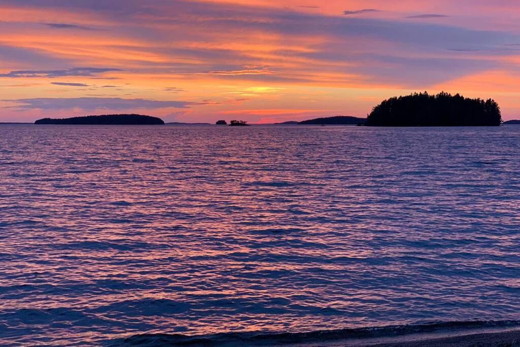 Elegant Villa On The Shore Of Lake Saimaa ラッペーンランタ エクステリア 写真